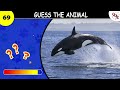 Guess The Animal in 3 Seconds | 100 Random Animals | How Many Animals Do You Know?