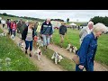 7th National Fox Terrier Meet, June 29th 2024, in Derbyshire, UK: Great dogs, great people.