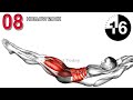 7 Min Lower Abs Workout at Home