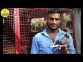 Racing Homer Pigeon Champion | Mr, S.YUVARAJ | Chennai | part 2 | தமிழில் | fancy birds chennai.