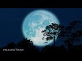 Música e Natureza - Música Relaxante e Vídeo com Lindas Aves - Relaxar - Acalmar, Música para dormir