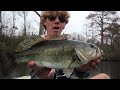 Fishing For BIG BASS DEEP In The TREES! -- (Kayak Fishing)