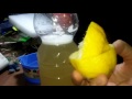 Let's Make a Lemonade!