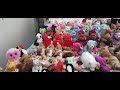 my beanie babies collection