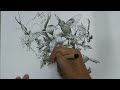 How to Draw Hummingbird Easy