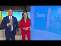 Insta-famous Molly the magpie has been reunited with Peggy the staffy | Today Show Australia