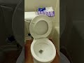 Briggs toilet and american standard plebe toilet 1980S and fan at in a apartment in Texas