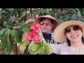 Clip Quang Lê hẹn hò với Hà Thanh Xuân tại Hawaii - Cười Bể Bụng