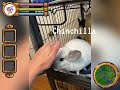 Chinchillas in an RPG???