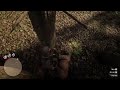 Red Dead Redemption 2 wtf kill panther