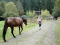 Horse farted and scared itself AND CHILD