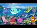 SEA ANIMALS | Learn Sea Animals for KIDS | Kids English Vocabulary | Kids Educational Video