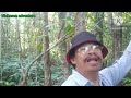 cek jebakan tupai & tikus di hutan Sibu Sarawak//ada poin gaiss 👍ep.43