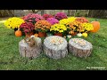 4K TV For Cats | Magnificent Mums | Bird and Squirrel Watching | Video 25