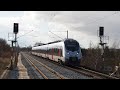 Züge, Trains, Treni - (Sachsen-Anhalt) Bahnhof Bad Dürrenberg - Gleisbauarbeiten KBS582