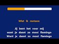 Regahs - Jij bent het voor mij - Karaoke