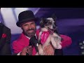 America's Got Talent 2023 Winner's Journey - Adrian Stoica and Hurricane!
