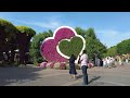 Dubai Miracle Garden is a Beautiful Flower Park Walking Tour 4K 🇦🇪