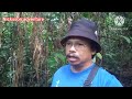 cek jebakan Tupai di hutan Sibu Sarawak.episod 41.🌷