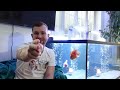 The Goldfish MEGA tank overhaul | WHY did I change my aquarium?