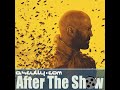 After The Show 837: The Beekeeper Review