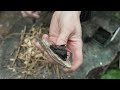 How To Start A Fire With Flint And Steel