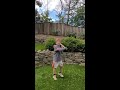 Lax Ready Catch & Cradle (Beginner)