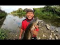 Gogoh Ikan Tepat Di Sarang Ikan Gabus Monster Sampai Bingung Mau Nangkap Yang Mana Dulu