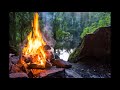 Camping Evening in Rainforest - Relaxing Meditation Nature & Crackling fire Sound - No Music - ASMR