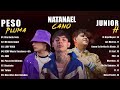 Peso Pluma X Natanael Cano X Junior H  Corridos Tumbados 2024 -  Grandes éxitos Mix 2024