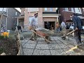 WE TRANSFORMED THIS YARD IN 8 MINUTES!!