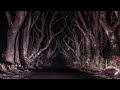 playlist for exploring altered realities