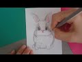 How to draw a rabbit 🐇 step by step | #drawingwithme #drawing #rabbit