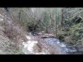 Weisendanger Falls, Multnomah Creek, Oregon