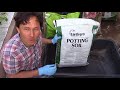 Best Vegetable Garden Soil You Can Buy at Walmart + What to Look For