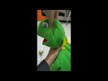 weird video I made