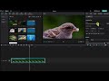 CapCut Crash Course: A Beginner's Guide to Mastering the Free Desktop Video Editor
