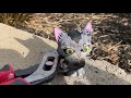 I Burned a Graystripe Toy because I can (Warrior Cats)