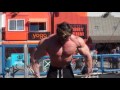 Bodybuilding Motivation - Throne