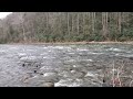 Dry Fork River near Parsons, West Virginia