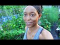 Woman's Incredible Backyard Homestead Produces TONS of Food for Her Family – URBAN GARDEN TOUR