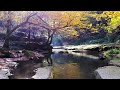 Wait On The Lord : Piano Instrumental Music With Scriptures & Autumn Scene 🍁CHRISTIAN piano
