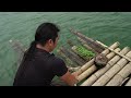 Making Bamboo Rafts, Fishing and Selling to Traders, River Survival | EP.347