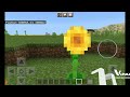 Glitchy sunflowers in Minecraft