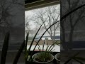winter through my window