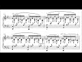 Schumann: Ghost Variations, WoO 24 (Anderszewski, Levit)