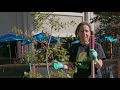 Planting a tree for #TeamTrees (ft. Mark Rober)