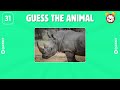 Guess the animal  in 5 seconds 🐶🐰🧐 | Animals Quiz.