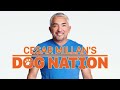How To Gain A Dog's Trust | Dog Nation Episode 4 - Part 3