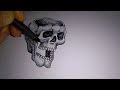 DRAWING SKULL IN PEN AND INK